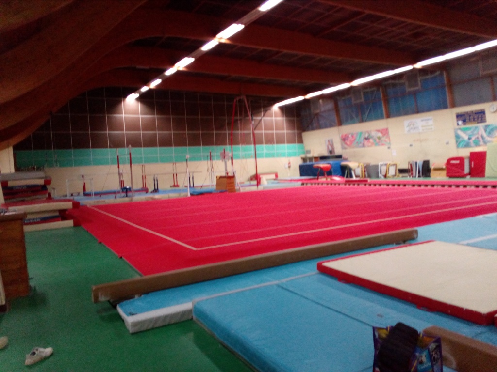 La Bigourdane de Tarbes  et la Société Gymnique de Lourdes recherchent :un entraineur(se) GAM GAF