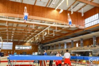 Trampoline Trampoline