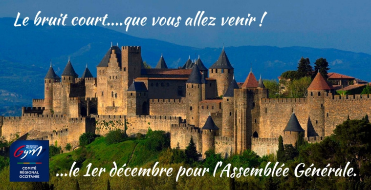 Assemblée générale annuelle du Comité régional Occitanie -1er dec 2018 à Carcassonne