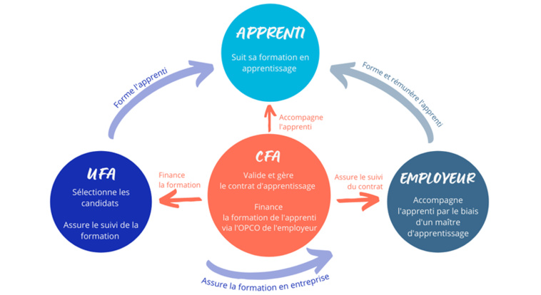 CFA OCCITANIE - LA FORMATION EN APPRENTISSAGE CFA OCCITANIE - LA FORMATION EN APPRENTISSAGE