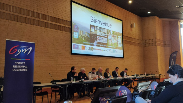 RETOUR SUR L'ASSEMBLEE GENERALE DU COMITE OCCITANIE DE GYMNASTIQUE RETOUR SUR L'ASSEMBLEE GENERALE DU COMITE OCCITANIE DE GYMNASTIQUE