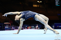 GAF - STAGE DRA - OCCITANIE - LE 12 ET 13 AVRIL 2025 À SÈTE GAF - STAGE DRA - OCCITANIE - LE 12 ET 13 AVRIL 2025 À SÈTE