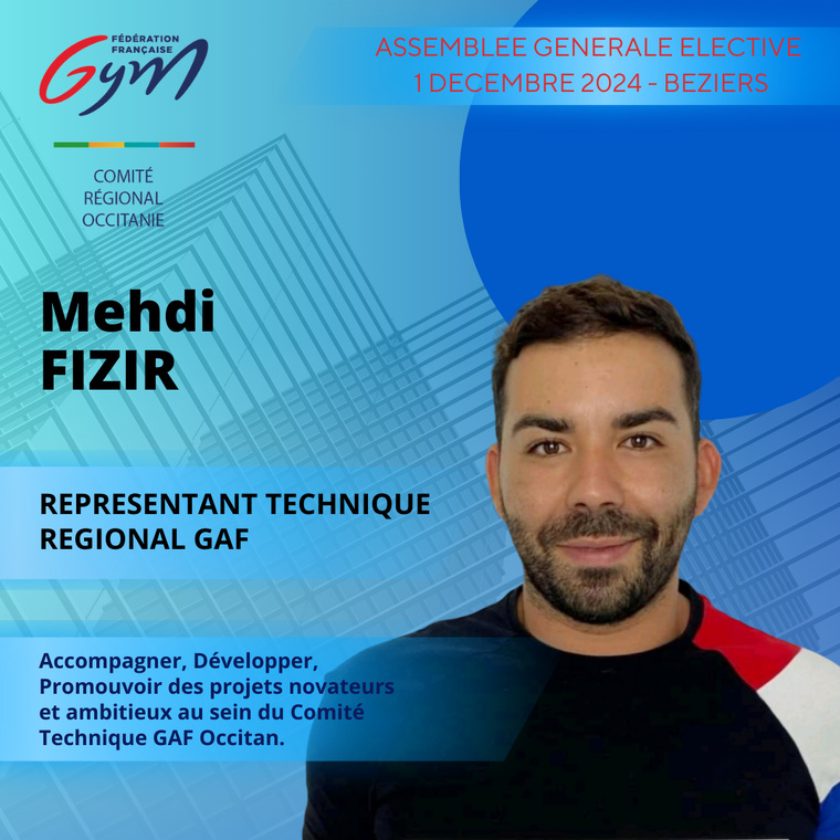 MEHDI FIZIR REPRESENTANT TECHNIQUE REGIONAL GAF MEHDI FIZIR REPRESENTANT TECHNIQUE REGIONAL GAF