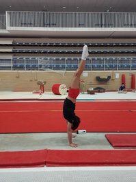 GAM - Stage Animation Performances et Fédéraux - Montauban GAM - Stage Animation Performances et Fédéraux - Montauban