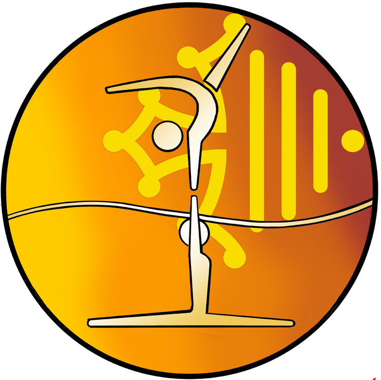 GAC - 1ERE SÉLECTIVE RÉGIONALE FÉDÉRALE A ET B + NATIONALE B TC LES 14 ET 15 FÉVRIER 2026 À SAINT JEAN