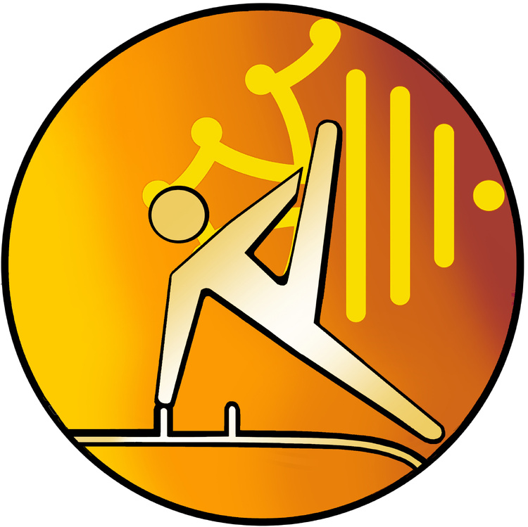 ​GAM - CHAMPIONNAT ​RÉGIONAL INDIVIDUELLES PERFORMANCE 7-8-9 ANS - PERFORMANCE - FÉDÉRALE A LES 28 ET 29 MARS 2026 À MONTAUBAN