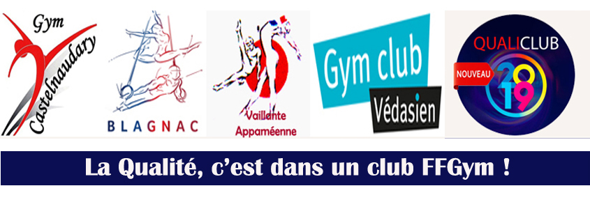 FÉLICITATIONS AUX CLUBS LABELLISES 2019