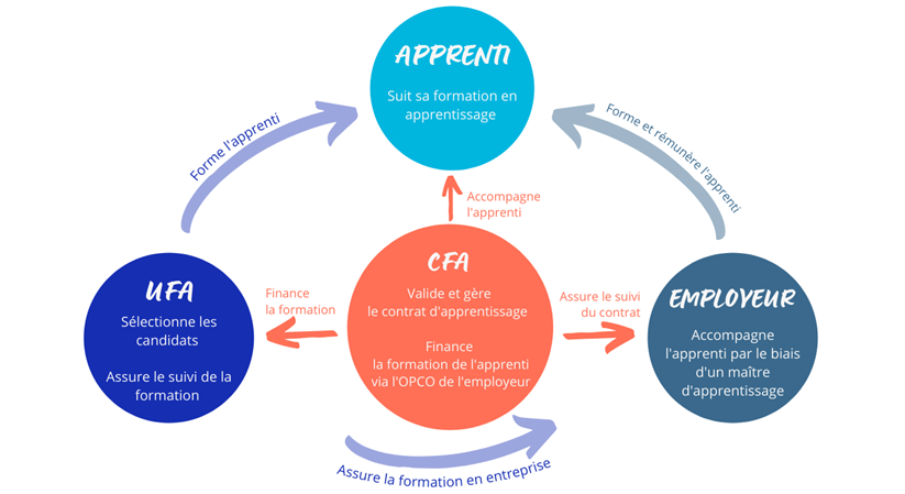 CFA OCCITANIE - LA FORMATION EN APPRENTISSAGE
