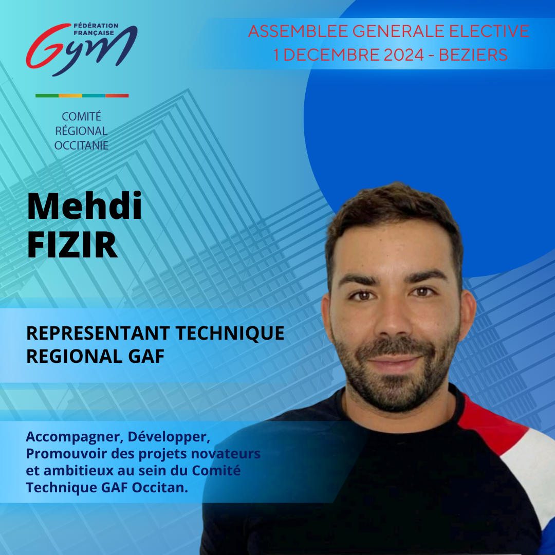 MEHDI FIZIR REPRESENTANT TECHNIQUE REGIONAL GAF MEHDI FIZIR REPRESENTANT TECHNIQUE REGIONAL GAF