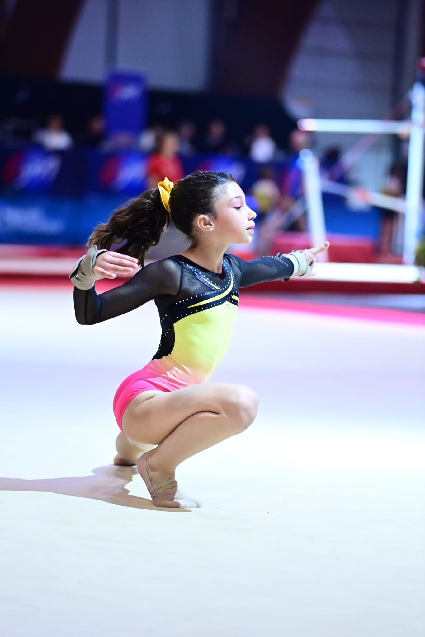 GAF - Stage DRA ID Est - NIMES