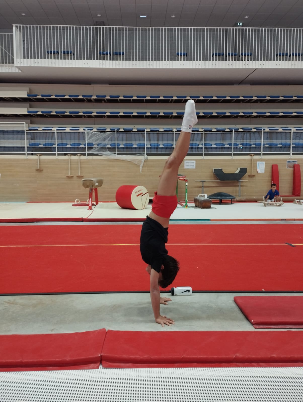 GAM - Stage Animation Performances et Fédéraux - Montauban