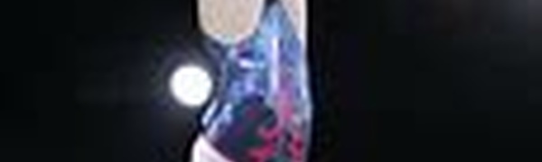 GAF - Stage DRA ID Nord - MONTAUBAN