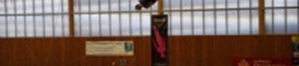 TR STAGE DRA ET ANIMATION LES 04 ET 05 AVRIL A TOULOUSE ET COLOMIERS