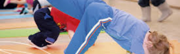 BBG - FORMATION "ANIMATEUR BABY GYM" / Saison 2026 - 2027