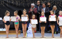 PHOTOS - COMPETITION REGIONALE GR INDIV - ISLE JOURDAIN