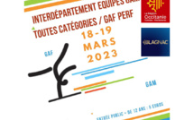 GAM - COMPÉTITION INTERDÉPARTEMENTALE N/S EQUIPES PERFORMANCES ET FÉDÉRALES LE 18 MARS 2023 À BLAGNAC