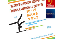 GAF - COMPÉTITION INTERDÉPARTEMENTALE N/S EQUIPES PERFORMANCES LES 18 ET 19 MARS 2023 À BLAGNAC
