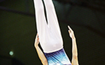 TR - STAGE PERF LES 15 ET 16 FÉVRIER 2025 à TOULOUSE TR - STAGE PERF LES 15 ET 16 FÉVRIER 2025 à TOULOUSE