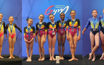 GAF - 3 podiums au Championnat de France par équipes à Rennes
