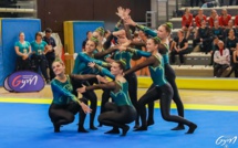 TEAMGYM - FORMATIONS JUGES NIVEAUX 1 à 3 et PERFECTIONNEMENT de CADRES / Saison 2025-26