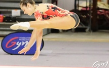 AER - STAGE ANIMATION LES 7 ET 8 FEVRIER à TOULOUSE