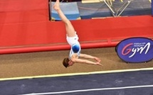 TU - STAGE DRA ET REGROUPEMENT REGIONAL LE 08 FEVRIER 2026 À TOULOUSE