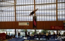 TR STAGE DRA ET ANIMATION LES 07 ET 08 FEVRIER A TOULOUSE ET COLOMIERS