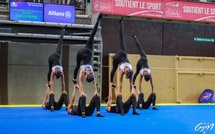 TG - Stage Animation 26 Avril 2026 à COLOMIERS